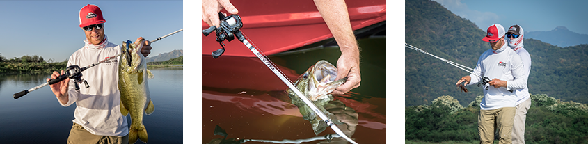 1575886146262782.png 11.png