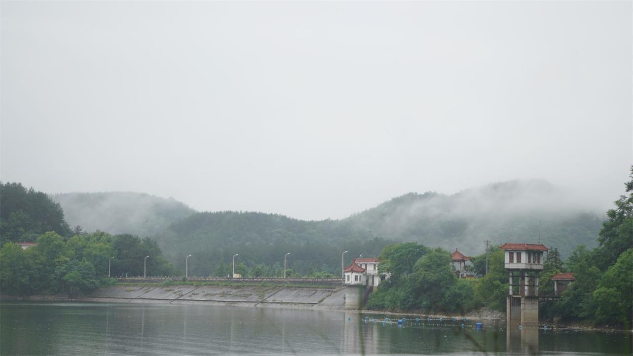 1593651441420729.jpg DSC06542.JPG