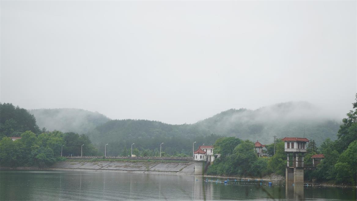 1593675581100360.jpg DSC06542.jpg