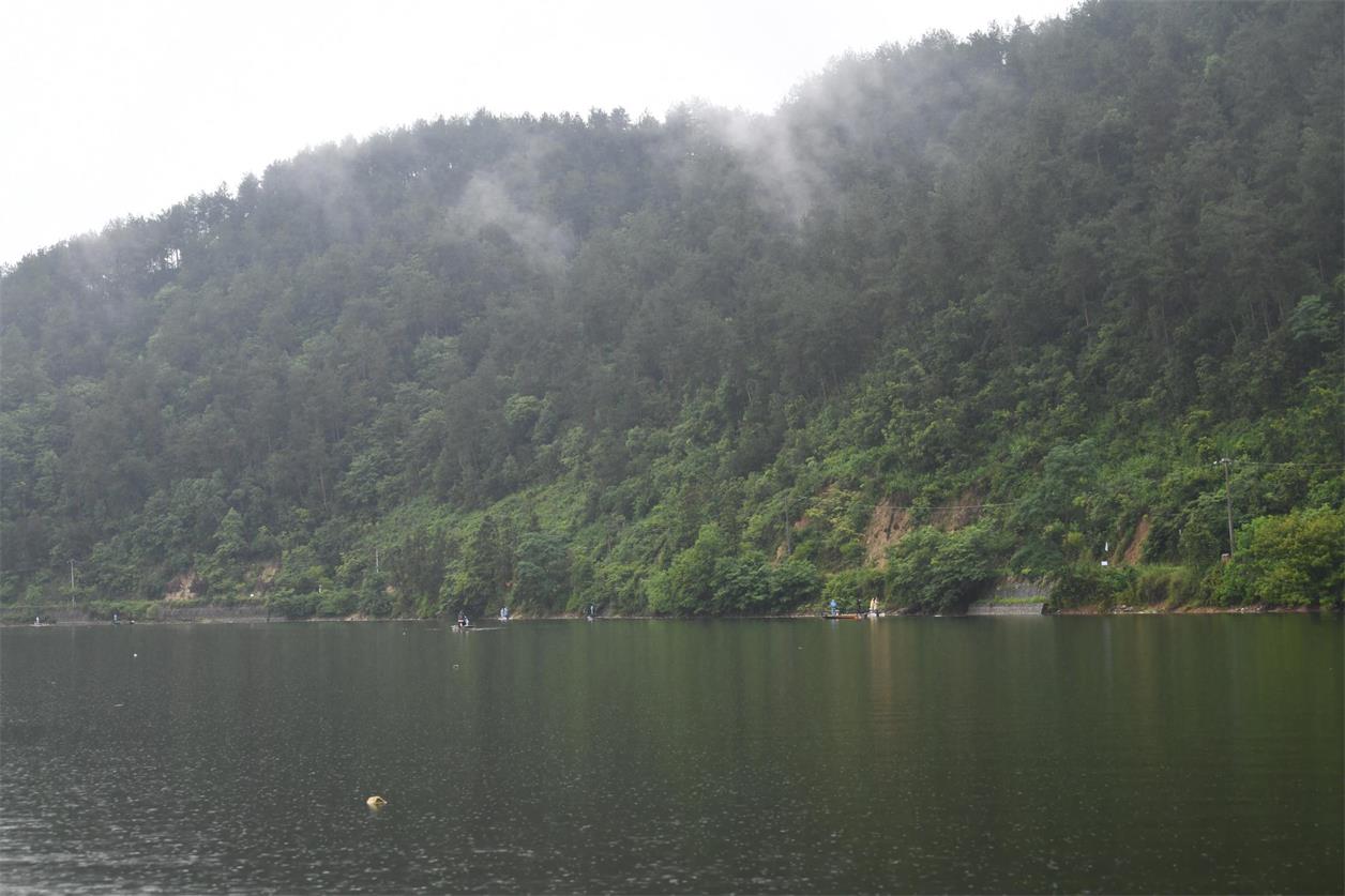 1593675745487277.jpg DSC_6469.jpg